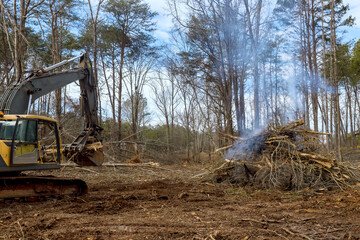 Uprooted forest set ablaze at construction site for new homes it is necessary to clear land