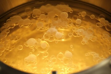 showcasing the inside of a fermentation tank, filled with bubbling liquid as yeast converts sugars into ethanol.