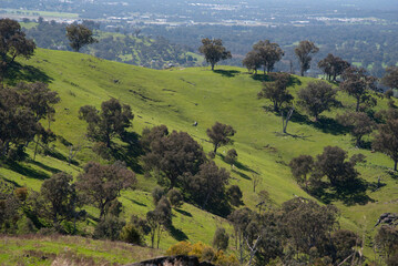 Green hills at Huon hill lookout Bandiana, Victoria, Australia.