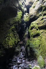 Slot canyon with small river and green moss