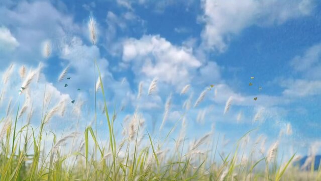 grass and blue sky flowers in the field  animated background in Japanese anime watercolor painting illustration style. seamless looping video animated background