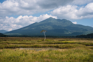 初秋の尾瀬ヶ原