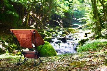 garden in the garden