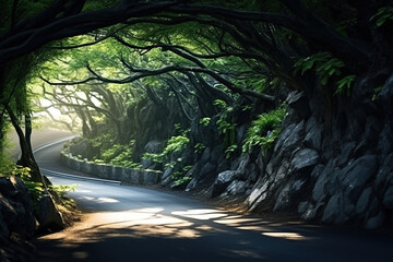 Beautiful road in the green forest. Nature background. Landscape. 