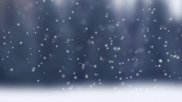 Snow Failing with Blurry Forest Winter Trees Background. Christmas and Winter Concept 