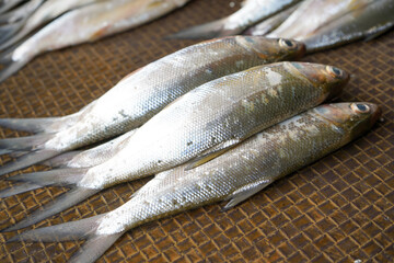 Freshwater fish are sold in the market. One example is milkfish and mullet. This fish has many...