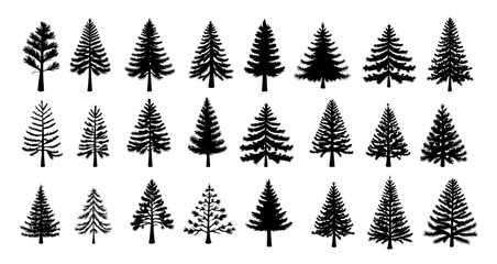 Set of fir tree silhouette. Christmas and New Year design elements, beautiful fir tree