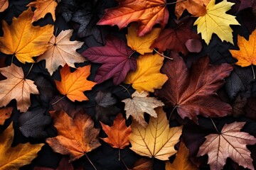 Naklejka na ściany i meble Autumn leaf branches