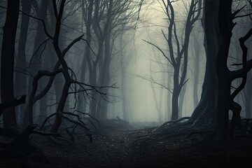 Forest in fog creating a mysterious atmosphere 
