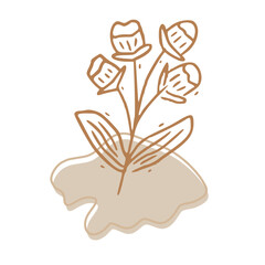 Minimalist Abstract Botanical Line Art Illustration in Earth Tones