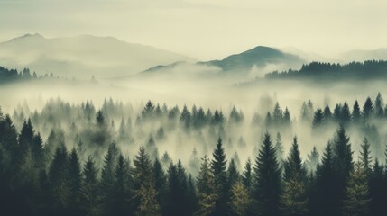 Enchanting Misty Landscape: Vintage Nostalgia Style Fir Forest
