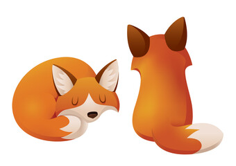 Two Foxes