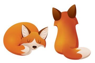 Two Foxes