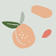 illustration of peaches