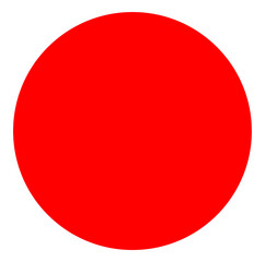 A solid red dot on white color.