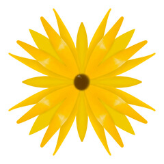 yellow flower