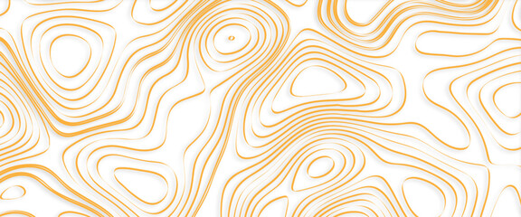 Vector The stylized height of the topographic contour in lines and contours  with a transparent background.