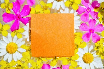 水に浮かべた綺麗な春の花を背景にした可憐なタイトルスペースのモックアップ