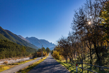 Foliage in the woods of Val di Resia, Friuli-Venezia Giulia