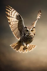 Zelfklevend Fotobehang Great horned owl wingspan © Zephyr-Imagix 