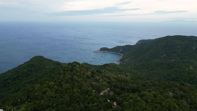 Aerial top down shot of green jungle hills on Koh Tao with parking boats at Aow Mao Dive Site