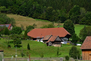 Fototapeta na wymiar Historical Farm in the Black Forest, Gutach, Baden - Württemberg