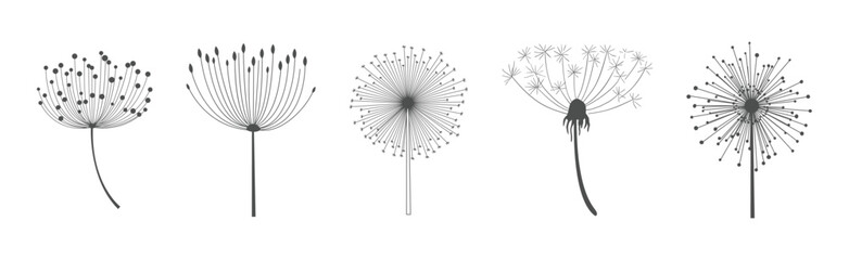 Dandelion Signs Black Thin Line Icon Vector Set - obrazy, fototapety, plakaty