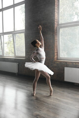 Beautiful female ballerina wearing tutu dress and pointe shoes indoors