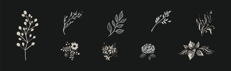 Blooming Flora with Flower Silhouette on Black Background Vector Set