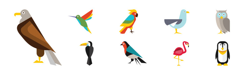 Different Birds and Avians as Feathered Flying Creature Vector Set