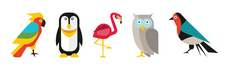 Different Birds and Avians as Feathered Flying Creature Vector Set