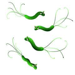 Helicobacter pylori cartoon characters illustration