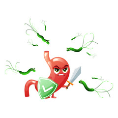 Cartoon stomach character with shield and sword fighting against helicobacter pylori bacteria