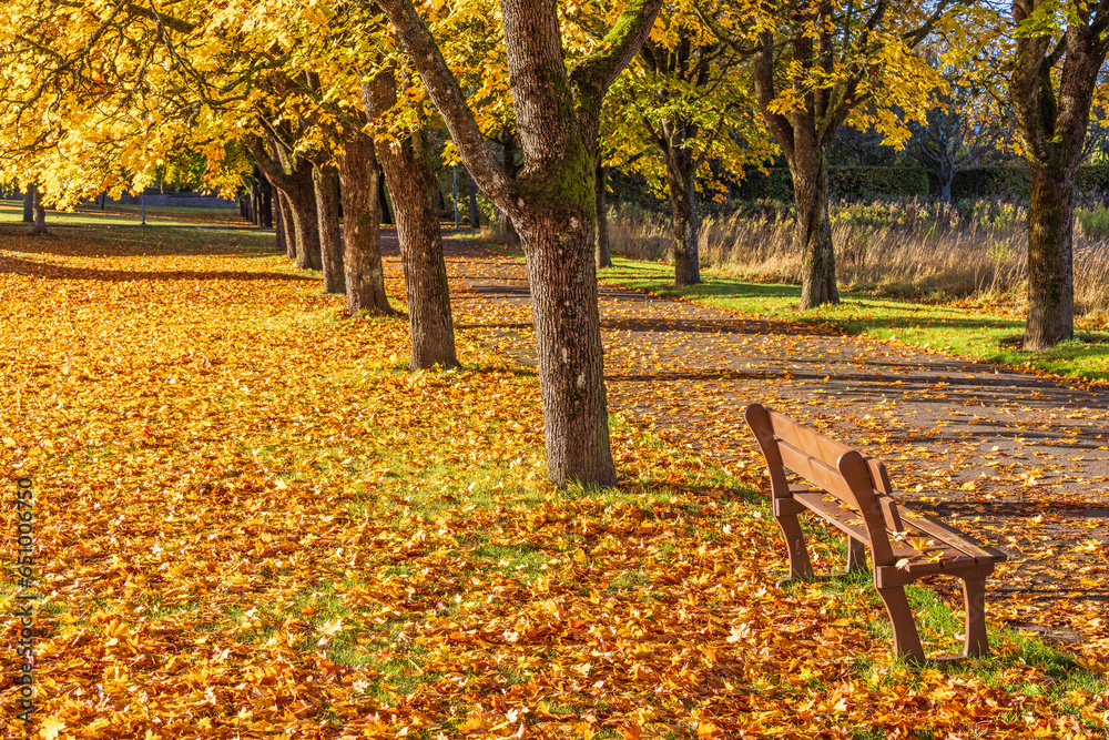 Sticker Tree avenue with an empty park bench a sunny autumn day