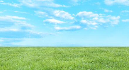 Fototapeta na wymiar 河川敷の土手、高台さわやかな青空と緑の草原・芝生の背景壁紙　アウトドア・スポーツ・行楽・レジャー・旅行・遠足・運動会の背景