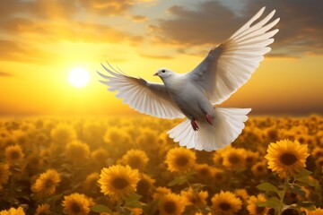Obraz premium A dove flying above a field of sunflowers, both strong symbols of Ukraine. -