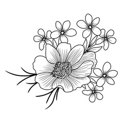 sketch of flower arrangement