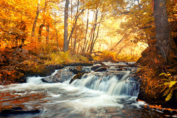 Wasserfall im Herbst im Wald