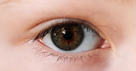 Closeup sequence of different eyes from people looking at the camera - different multicultural human eyes - man and girl faces - diversity inclusion and equality concept - infinite loop