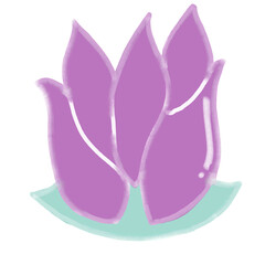 pink flower on white lotus