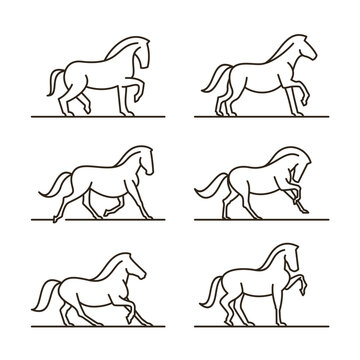 Set of Horse Lineart Icon Vector Design Illustrations