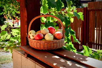 Dojrzałe jabłka w wiklinowym koszu