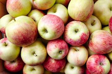 Bunch of organic fresh apples on a market. Overhead view of fresh organic apples. Healthy eating concept