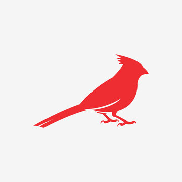 recommend clip art: cardinal bird logo icon vector illustration