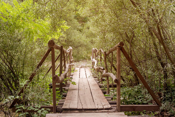 Naklejka premium Old, wooden bridge over the river in the forest