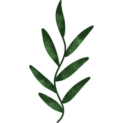 Green Leaves Foliage Watercolor