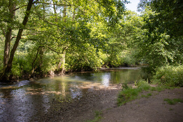Summertime river in the UK.