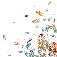 Green Herb Background White Vector. Leaves Agriculture Set. Yellow Foliage. Red Plant Forest. Label Texture.