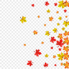 Colorful Floral Background Transparent Vector. Foliage Abstract Design. Orange Canadian Plant. Flying Leaf Card.