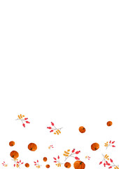 Gold Rowan Background White Vector. Vegetable Vintage. Orange Healthy Border. Fall Banner. Yellow Pumpkin Print Set.